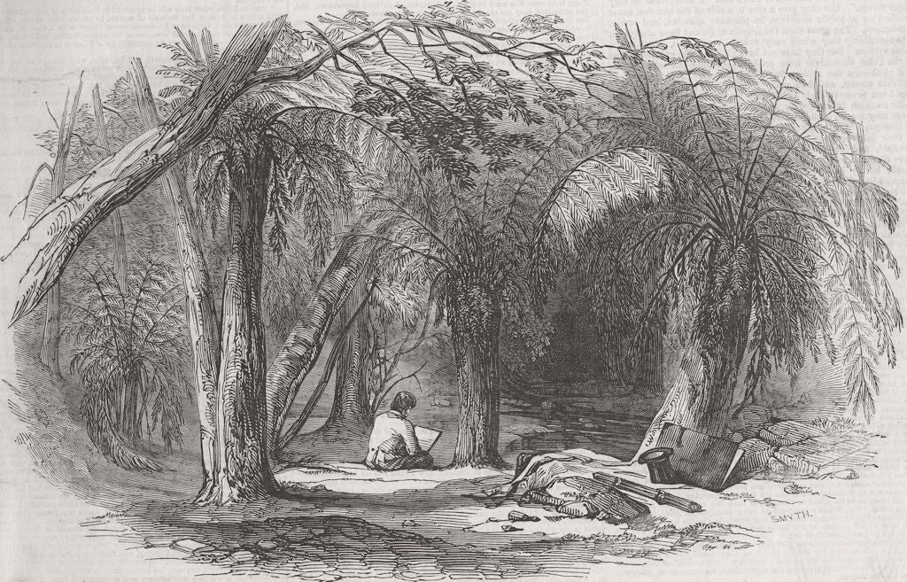 TASMANIA. Van Diemen's Land-Fern Tree Valley, Mount Wellington. Australia 1847